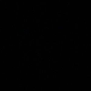 Meet your Posher, Maureen